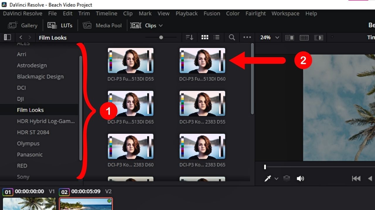 Adjust Lut Intensity In Davinci Resolve: A Step-by-step Guide (2024)