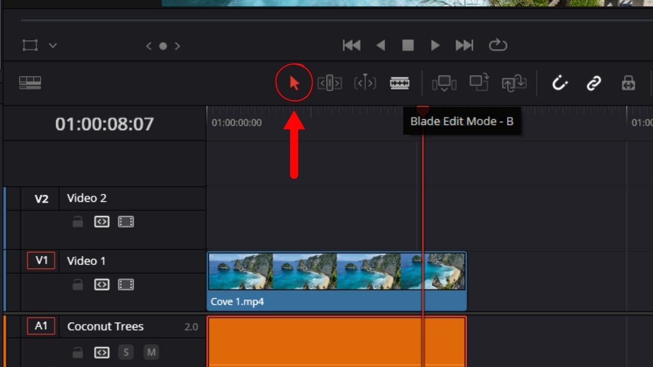 Delete an Audio Track from Video in DaVinci Resolve 18 (2024)