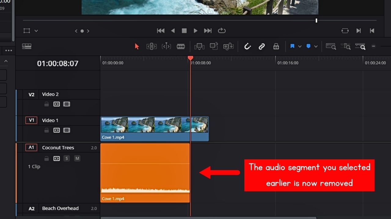 Delete an Audio Track from Video in DaVinci Resolve 18 (2024)